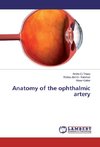 Anatomy of the ophthalmic artery