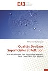 Qualités Des Eaux Superficielles et Pollution