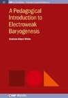 A Pedagogical Introduction to Electroweak Baryogenesis