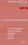 Fiche de lecture La Métamorphose (Analyse littéraire de référence et résumé complet)