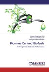 Biomass Derived Biofuels
