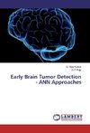 Early Brain Tumor Detection - ANN Approaches