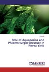 Role of Aquaporins and Phloem-turgor-pressure in Hevea Yield