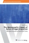 The demographic impact of Syrian refugee migration
