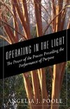 OPERATING IN THE LIGHT