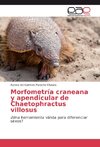Morfometría craneana y apendicular de Chaetophractus villosus