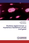 Pantoea agglomerans: a mysterious bacterium of evil and good