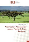Architecture Aérienne de Jeunes Plants de Trois Espèces...