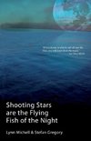 Shooting Stars Are The Flying Fish Of The Night