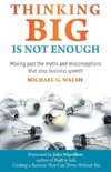Thinking Big Is Not Enough