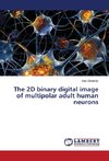 The 2D binary digital image of multipolar adult human neurons