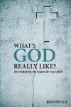 What's God Really Like?