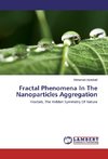Fractal Phenomena In The Nanoparticles Aggregation