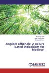 Zingiber officinale: A nature based antioxidant for biodiesel