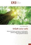 InGaN solar cells