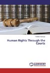 Human Rights Through the Courts