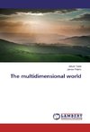 The multidimensional world