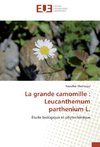 La grande camomille : Leucanthemum parthenium L.