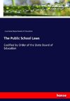 The Public School Laws