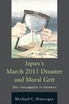 JAPANS MARCH 2011 DISASTER & MPB