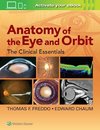 Anatomy of the Eye and Orbit