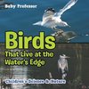 Birds That Live at the Water's Edge | Children's Science & Nature