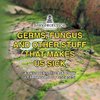 Germs, Fungus and Other Stuff That Makes Us Sick | A Children's Disease Book (Learning about Diseases)