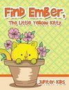 Find Ember, The Little Yellow Kitty