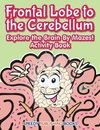 Frontal Lobe to the Cerebellum