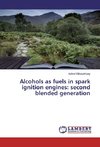 Alcohols as fuels in spark ignition engines: second blended generation