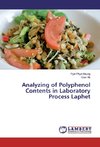 Analyzing of Polyphenol Contents in Laboratory Process Laphet