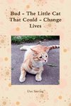 Bud - The Little Cat That Could - Change Lives