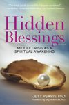 Hidden Blessings
