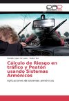 Cálculo de Riesgo en tráfico y Peatón usando Sistemas Armónicos