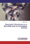 Geometric Structures on a Manifold and its Cotangent Bundle
