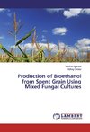 Production of Bioethanol from Spent Grain Using Mixed Fungal Cultures