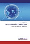 Fertilization In Vertebrates