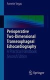 Perioperative Two-Dimensional Transesophageal Echocardiography