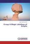 Group H-Magic Labelings of Graphs