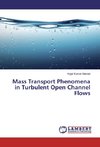 Mass Transport Phenomena in Turbulent Open Channel Flows