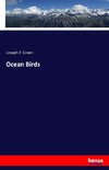 Ocean Birds