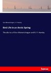 Bird Life in an Arctic Spring