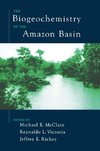 The Biogeochemistry of the Amazon Basin