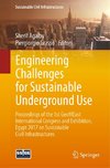 Engineering Challenges for Sustainable Underground Use