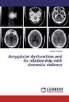 Amygdalar dysfunction and its relationship with domestic violence
