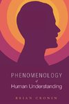 Phenomenology of Human Understanding