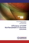 Efficiency of GFRP Reinforcement in concrete columns