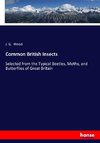 Common British Insects