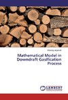 Mathematical Model in Downdraft Gasification Process