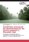 Condición artesanal de deshidratación de Carica papaya L. Maradol roja